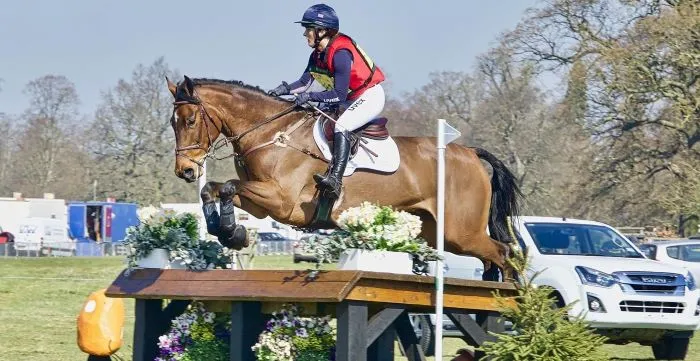 障害を飛び越える騎乗馬。