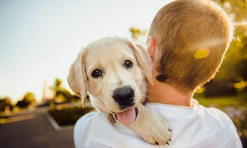 幸せそうに、愛犬を抱っこする男性。